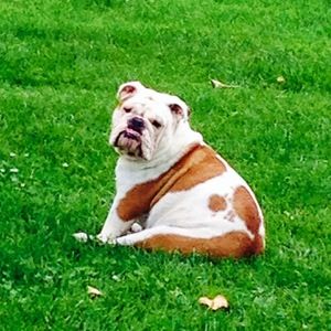 Meet your Posher, Mimi